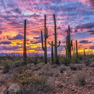 Meet your Posher, Meghan